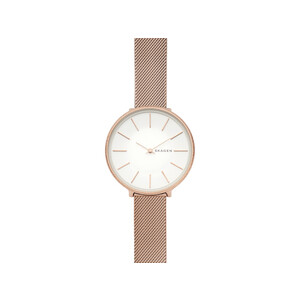 Часы наручные, женские. Skagen