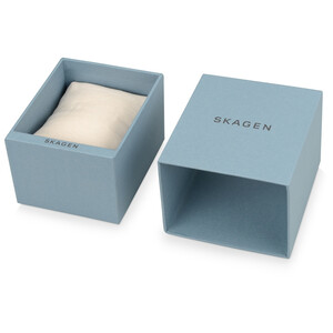 Часы наручные, женские. Skagen