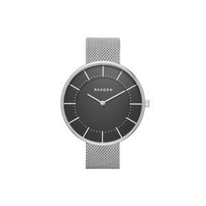Часы наручные, женские. Skagen