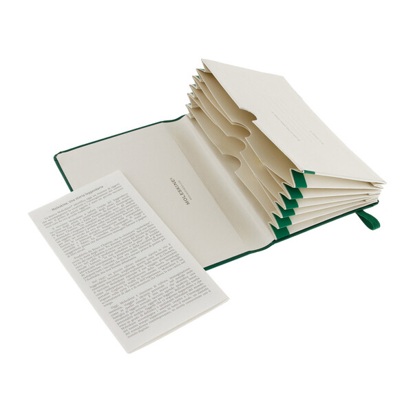 Папка Moleskine Portfolio (с кармашками), Pocket (9х14см), зеленый