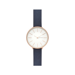 Часы наручные, женские. Skagen