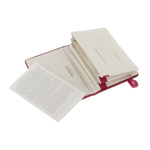 Папка Moleskine Portfolio (с кармашками), ХSmall (6,5x10,5см), розовый