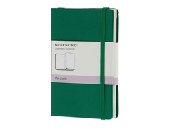Папка Moleskine Portfolio (с кармашками), Pocket (9х14см), зеленый