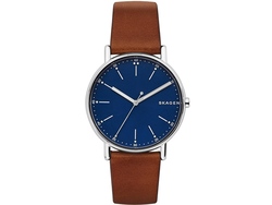 Часы наручные, мужские. Skagen